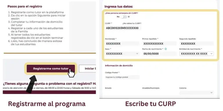 curp